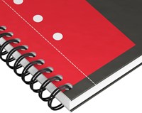Spiraalblok Oxford International Notebook A5+ ruit 160 pagina's-2