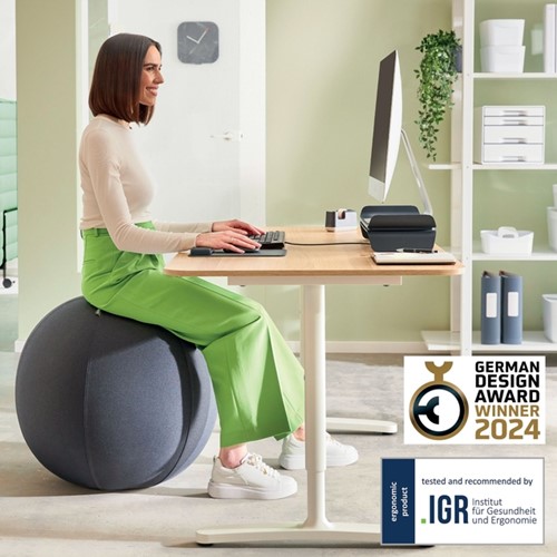 Actieve zitbal Leitz Ergo 75cm anti-rol donkergrijs-3