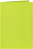Correspondentiekaart Papicolor dubbel 105x148mm appelgroen pak à 6 stuks