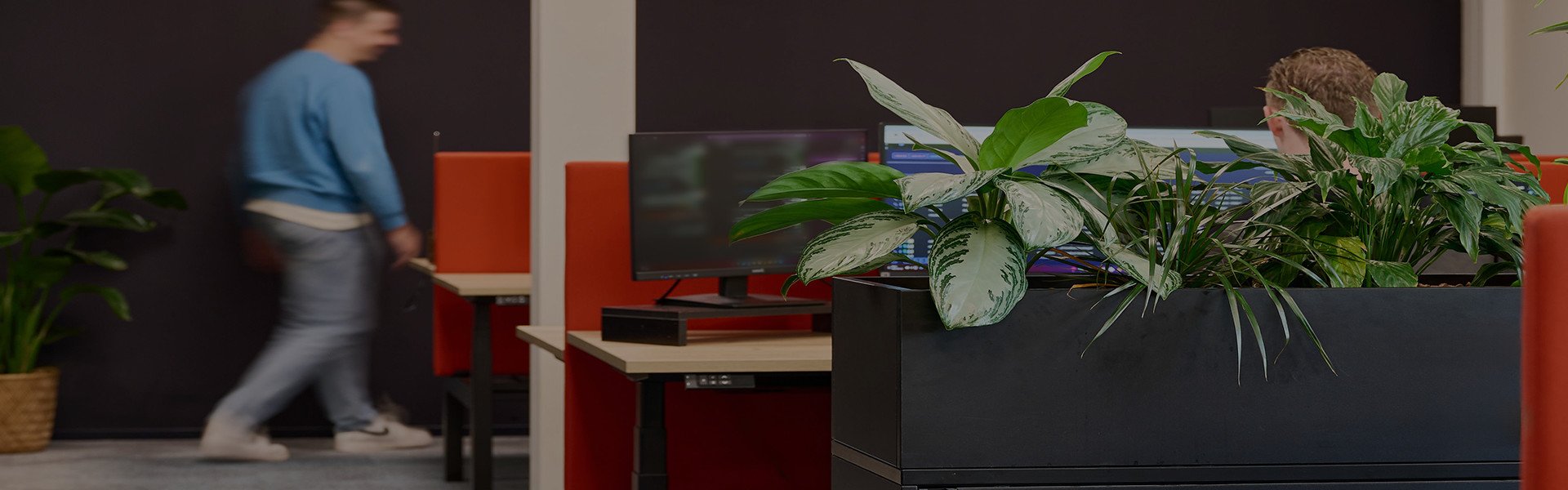 Waarom planten op kantoor?