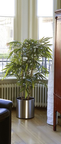 Kunst Bamboe 150cm groen-2