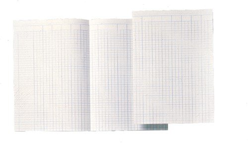 Accountantspapier Djois Atlanta A4 14 kolommen 100vel