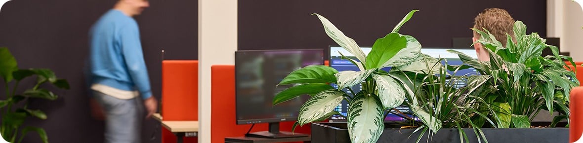 Waarom (kunst)planten op kantoor?