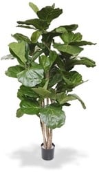 Coolplant Kunst Ficus Lyrata De Luxe 170 cm