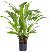 Coolplant Kunst Calathea Rufibarba 60 cm-2