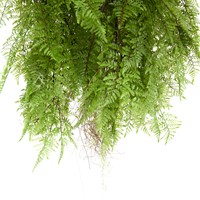 Coolplant Kunst Hangvaren 95 cm-2