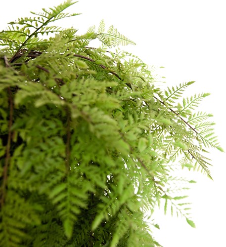 Coolplant Kunst Hangvaren 95 cm-3