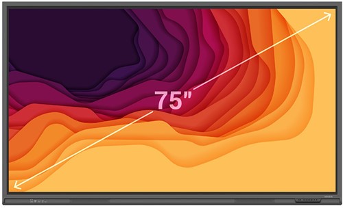 Newline Lyra 75" inch - Touchscreen digibord