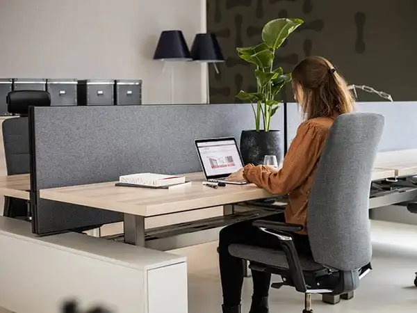 Bekijk de mogelijkheden voor akoestische panelen.