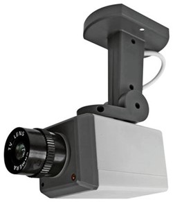 Nepcamera