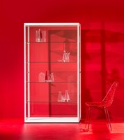 Van Esch Pictor VA vitrinekast - Zwart - VA080-2